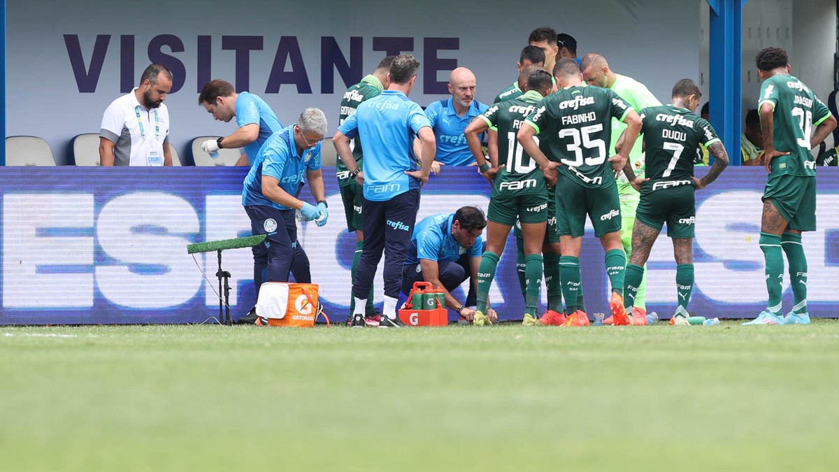 Atuações do Palmeiras: Giovani chama a atenção com dribles, e Rony decide vitória