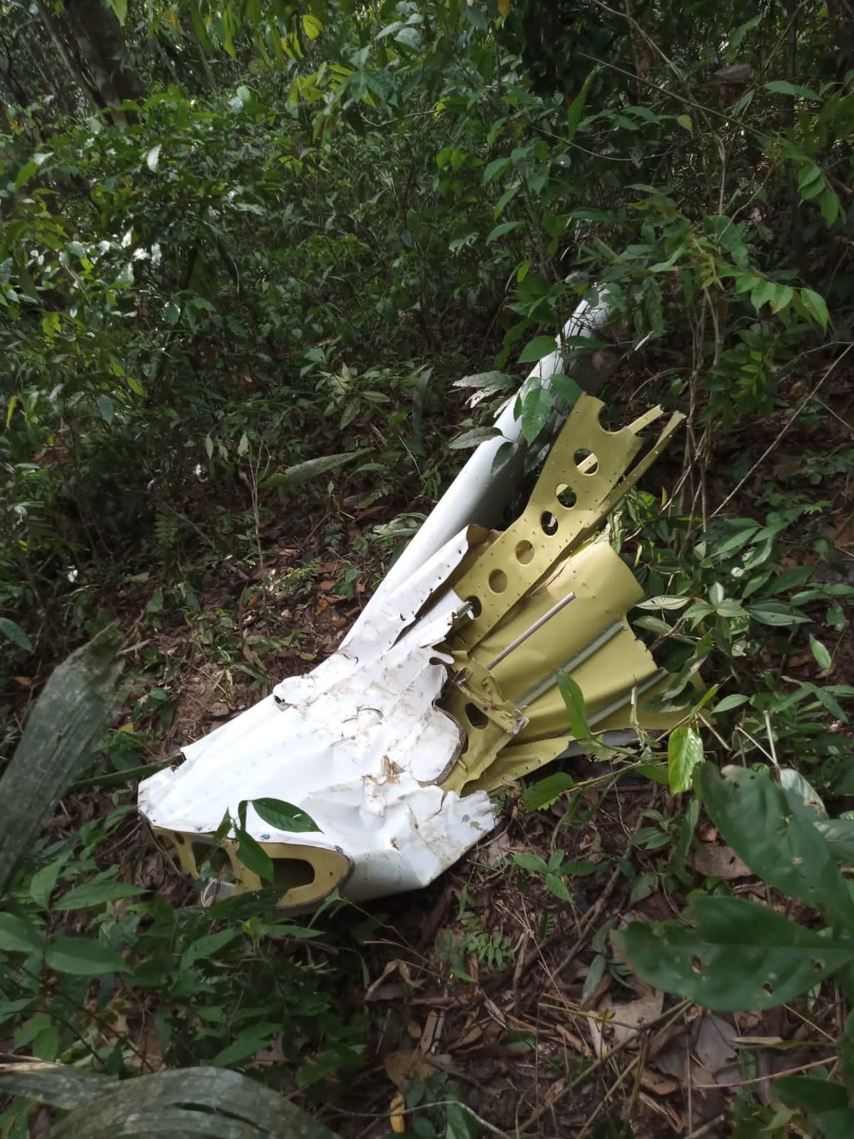 Avião que caiu no Acre tinha capacidade para até 14 pessoas; veja o modelo