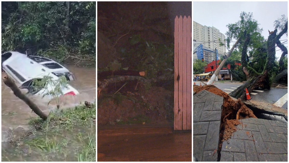 Chuva na Grande SP causa mortes, deixa ruas alagadas, derruba árvores e suspende pousos em Congonhas