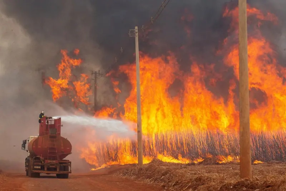 Sobe para 6 o número de suspeitos presos por incêndios no interior de SP